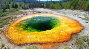 Природа Північної Америки