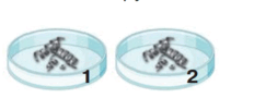 0600a1h3-f043-232x90.png