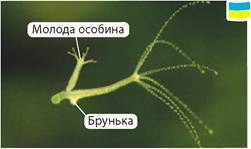 0600a2e0-c0f3-251x149.jpg
