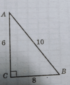0600a2fp-1e0b-243x296.png