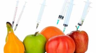 НІТРАТИ В ПРОДУКТАХ ХАРЧУВАННЯ