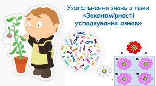 Узагальнення знань з теми "Закономірності успадкування ознак "