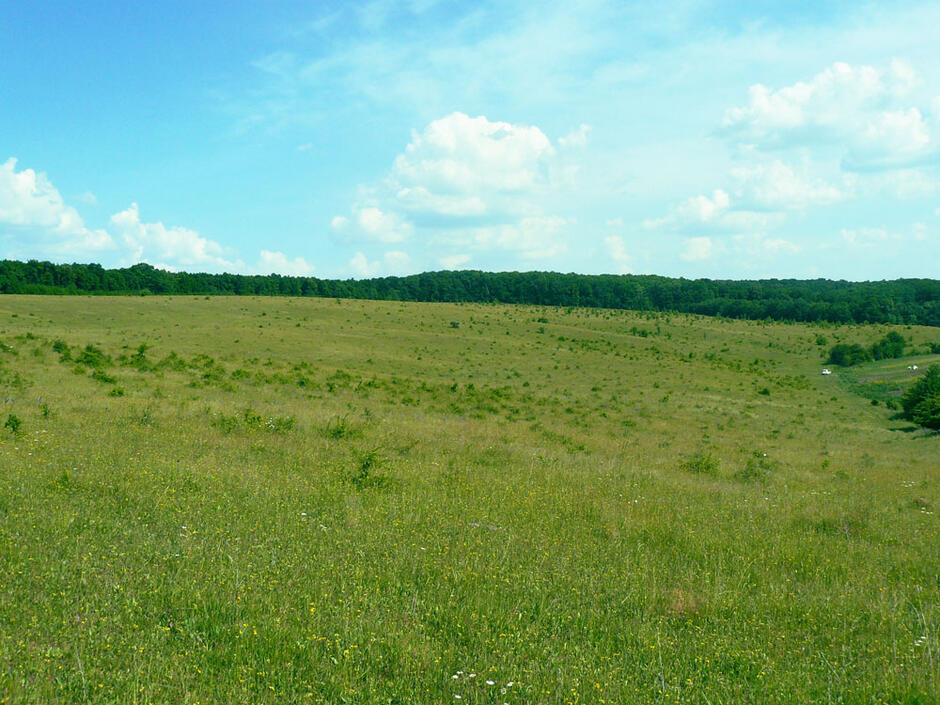 0600a90y-422a-940x705.jpg