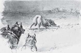 0600aa3l-66d6-313x206.jpg