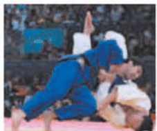 0600abih-4a22-227x190.png