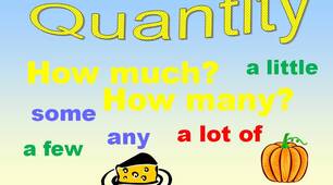 Grammar. Quantity (some, any, a few, a little, a lot of, how many, how much, many, much).