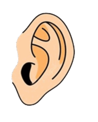 0600ahu3-b354-191x239.png