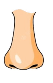 0600ahu8-89fc-188x292.png