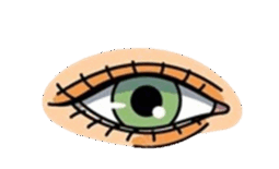 0600ahui-c41c-255x155.png