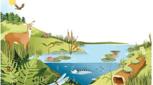 Die  Natur
