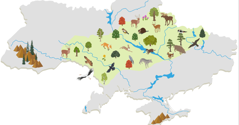 Лісостепова зона України | Тест на 14 запитань. Географія