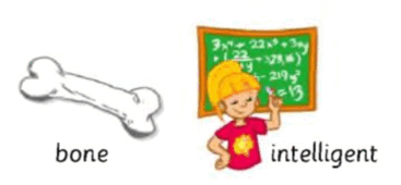 0600aniu-bcd3-367x170.png