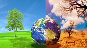 Vocabulary - Ecology, Phrasal Verbs, "get" (Unit 6 "Planet Earth" Gateway 2nd Edition B1)