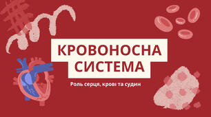 Презентація на тему "Огляд будови кровоносної системи людини. Кров та її компоненти"