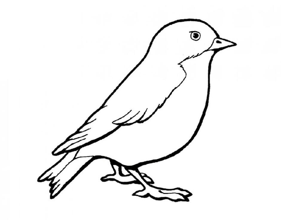 0600aqnr-7b4b-940x736.jpg