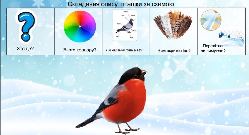 0600aqnt-5639-940x512.jpg