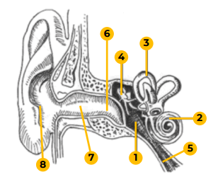 0600atr0-c810-301x274.png