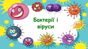Бактерії та віруси