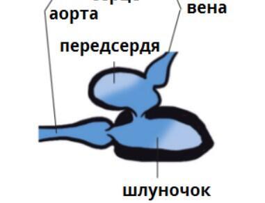 0600aw1d-e4b6-381x292.jpg