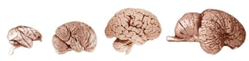 0600aw4m-d1af-502x123.png