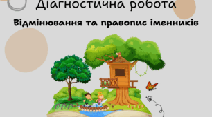 Діагностична (контрольна) робота. Відмінювання та правопис іменників 