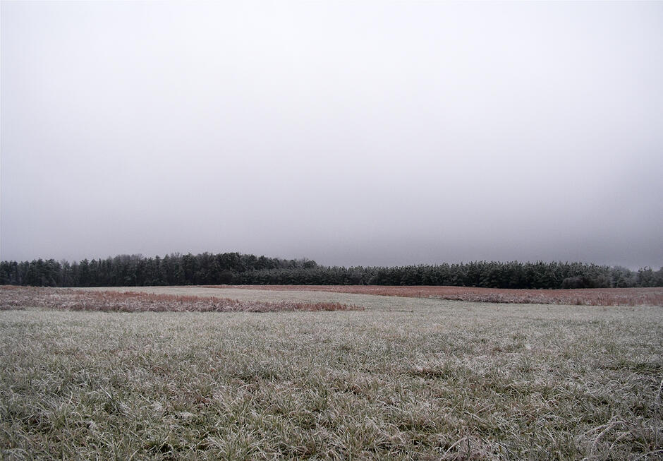 0600awwk-98fe-940x653.jpg