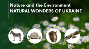 Презентація "Nature and the Environment. Reading"