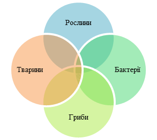 Складові біосфери