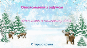 Ознайомлення з соціумом. Старша група ." Хто живе в зимовому лісі"