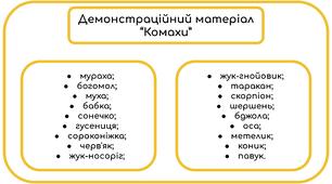 Демонстраційний матеріал на тему "Комахи"