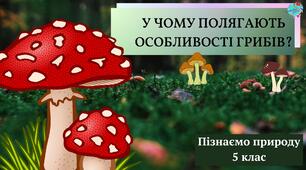 Презентація "У чому полягають особливості грибів"