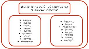 Демонстраційний матеріал "Свійські птахи"