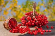 0600b1n4-7619-275x183.jpg