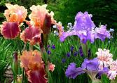 0600b1nh-f57a-265x188.jpg