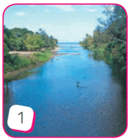 0600b26g-53ff-185x200.png