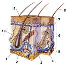 0600b2ti-7761-135x129.jpg