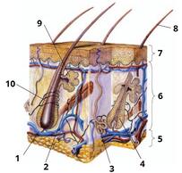0600b2z4-ac2b-203x194.jpg