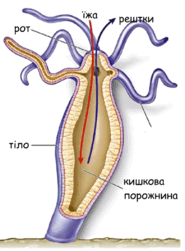 0600b3mm-4c94-185x251.png