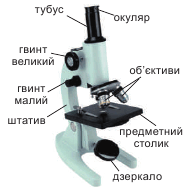 0600b4wp-399d-192x188.png