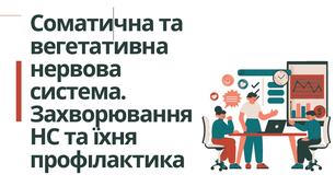 Соматична та вегетативна нервова система. Захворювання НС та їхня профілактика. Презентація для учнів 8 класу.