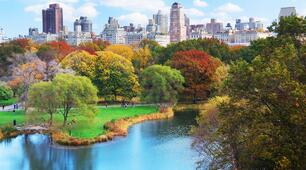 Full blast 6 Reading Central park, 