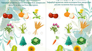 Дикорослі та культурні рослини