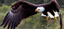 0600b9t9-b829-226x104.jpg