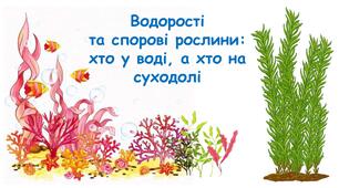 Презентація на тему "Водорості  та спорові рослини: хто у воді, а хто на суходолі" 5 клас НУШ