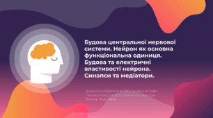 Презентація на тему "Будова центральної нервової  системи"