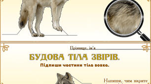 Завдання до уроку  Я досліджую світ "Звірі"