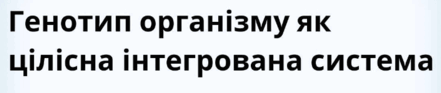 0600bmw7-9886-445x94.png