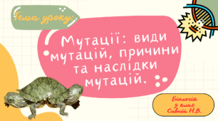 ПРЕЗЕНТАЦІЯ : "Мутації: види мутацій, причини та наслідки мутацій."