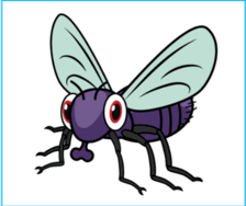 0600bsbq-ef1c-224x188.png