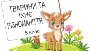 Контрольна робота "Тварини та їхнє різноманіття". 5 клас